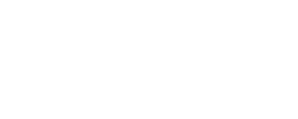 Figitto